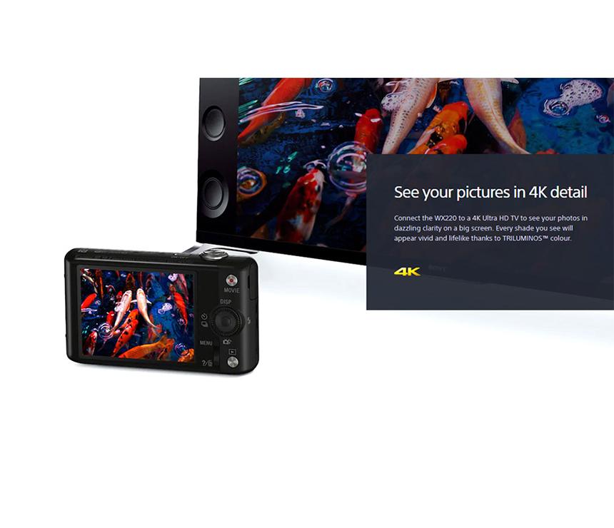 WX220 Compact Camera with 10x Optical Zoom