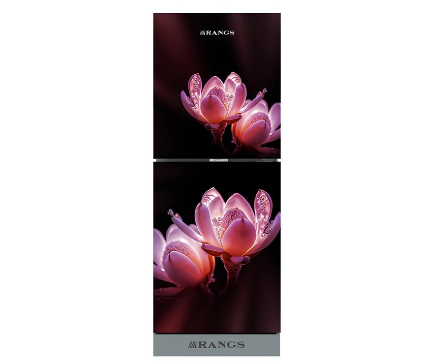 Rangs 236 Liter Frost Refrigerator