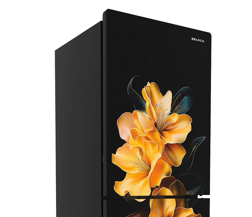 RTR-261D0A1WX - Goldflora 261 Ltr Refrigerator. RTR-261D0A1WX - Goldflora 261 Ltr Refrigerator.